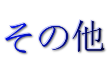 その他